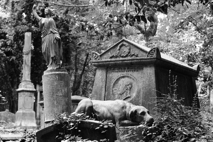 Fedele in eterno (Highgate cemetery).jpg